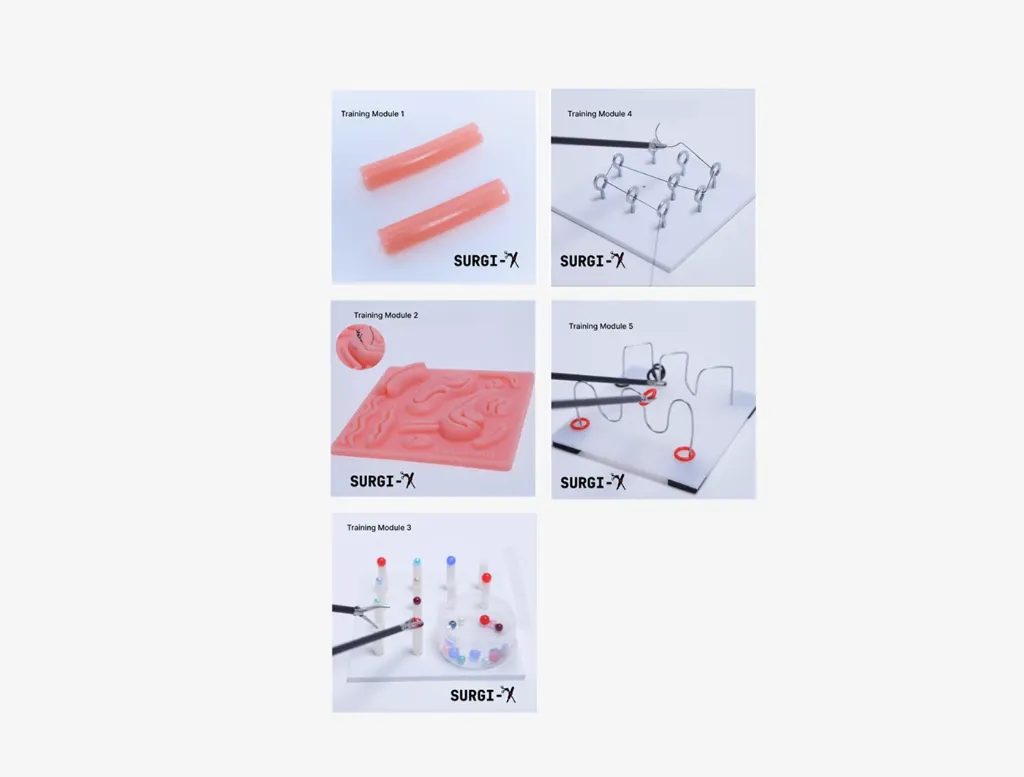 Endotrainer Training Modules (Module 1)